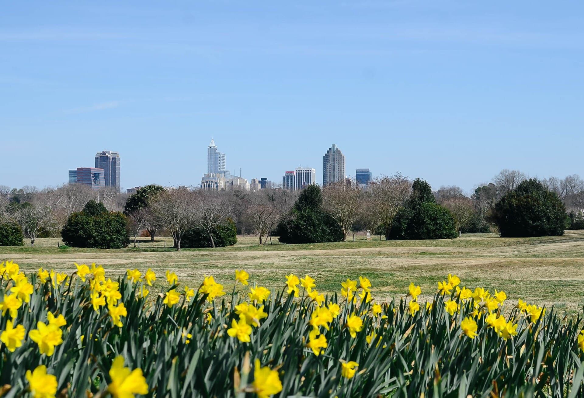 Spring landscape at Dix Park in Raleigh